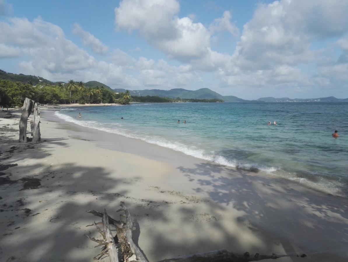Studio - Le Ti-Colibri - Plages Et Piscine A Sainte-Luce - Martinique - Antilles Exterior foto