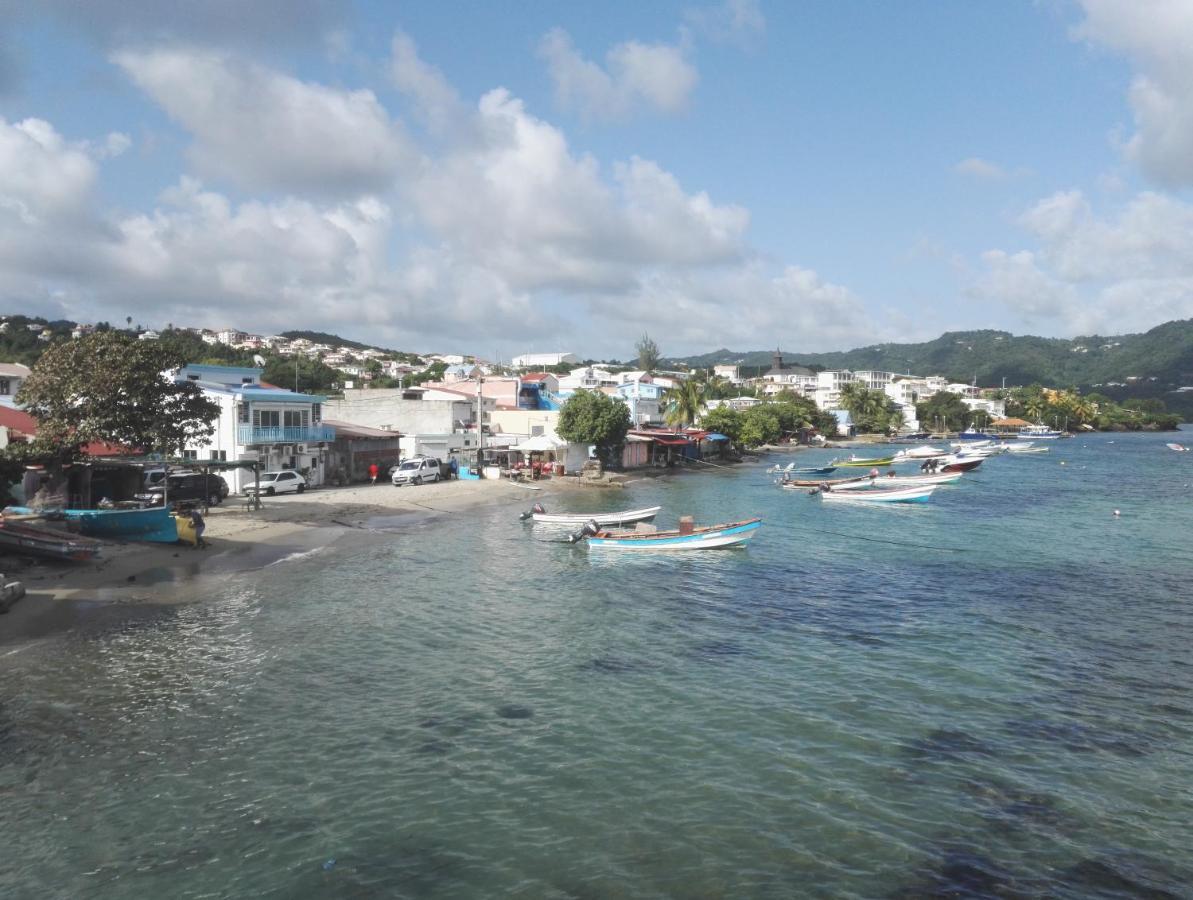 Studio - Le Ti-Colibri - Plages Et Piscine A Sainte-Luce - Martinique - Antilles Exterior foto